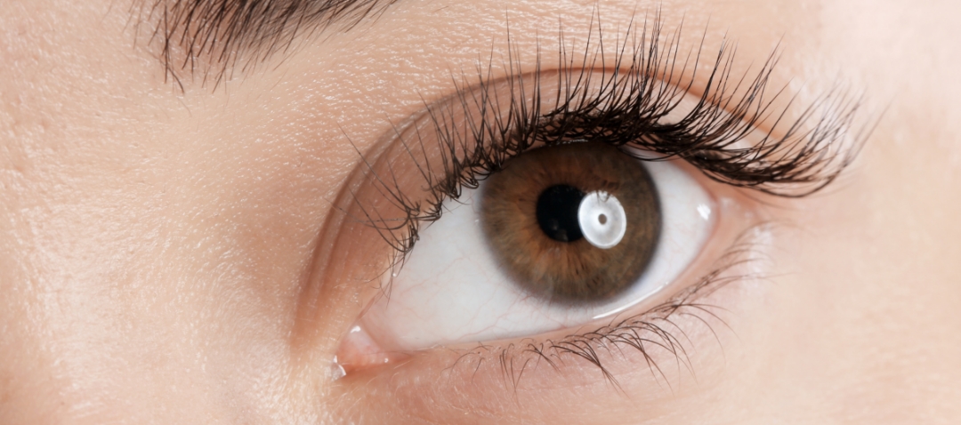 closeup of the eye of a young woman. she has long, natural lashes